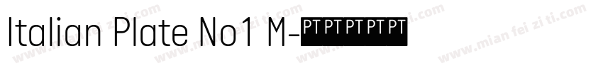 Italian Plate No1 M字体转换